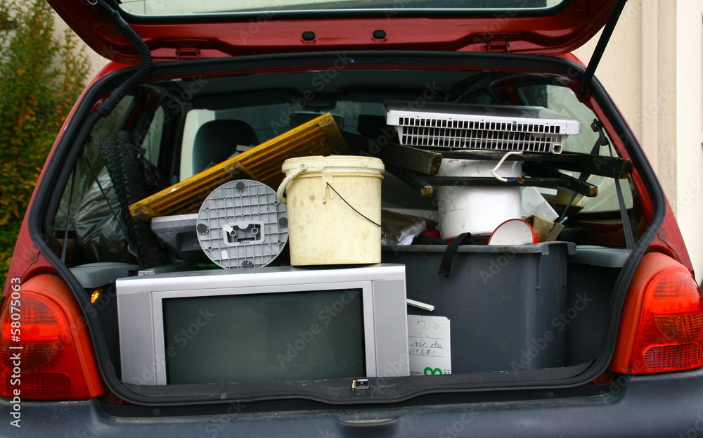 Encombrant poubelle preview 1